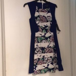 French Connection Dress